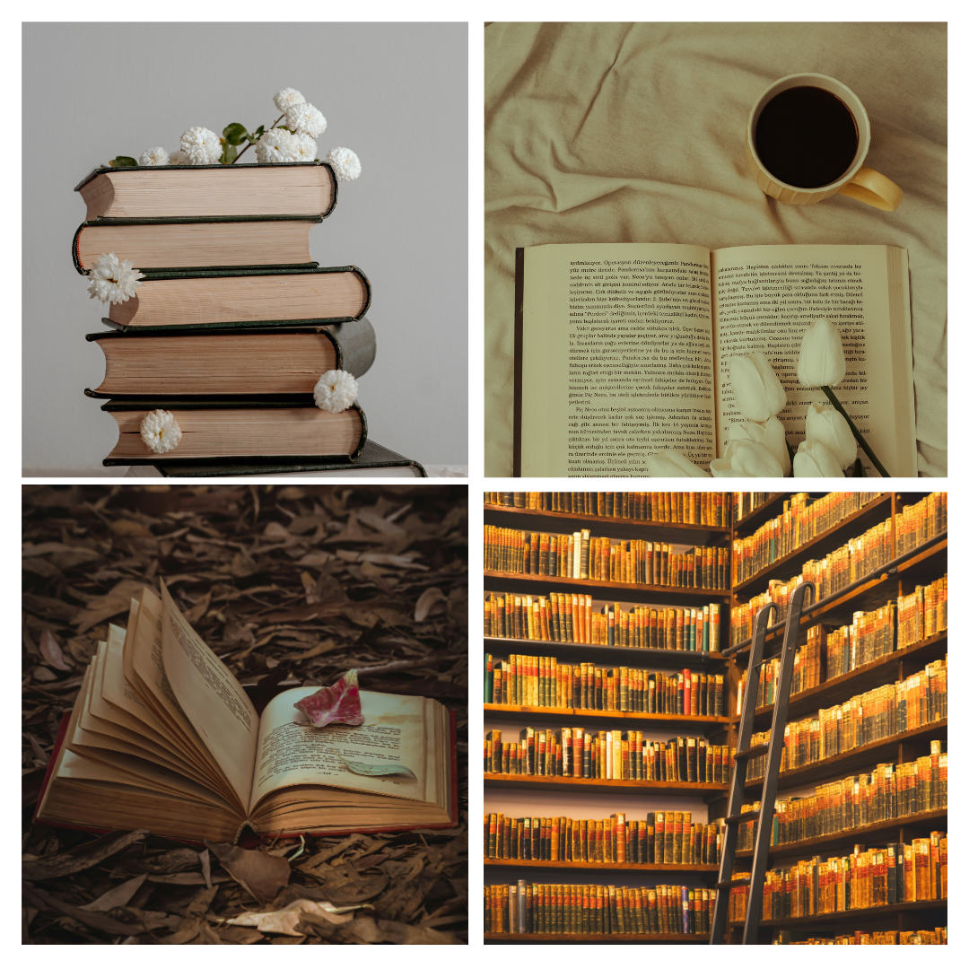 Bookish Wax Melts