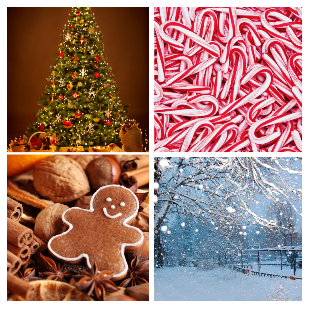 Seasonal Wax Melts