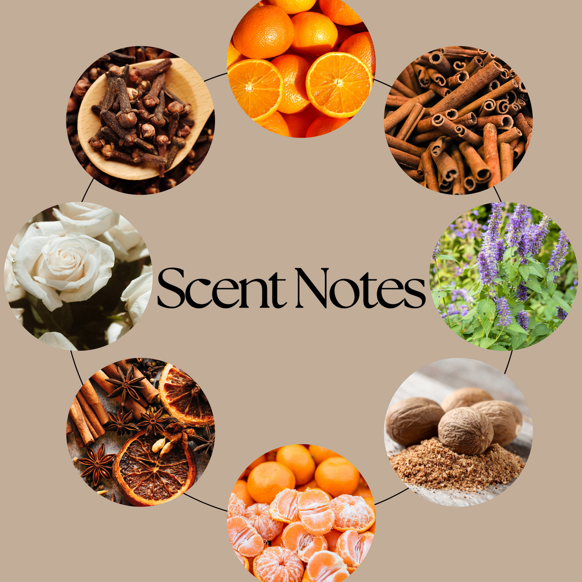 A circular graphic on a beige background with the text 'Scent Notes' in the center and eight small photos around it showing ingredients or scents: citrus slices, cinnamon sticks, white flowers, purple flowers, star anise, dried orange slices, and whole spices/nuts.