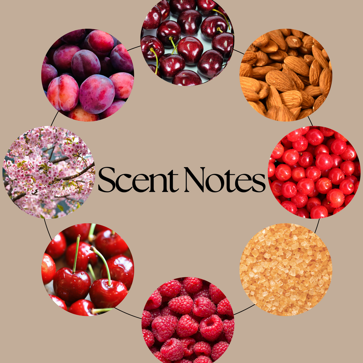 A circular graphic on a beige background with the text 'Scent Notes' in the center and eight circular photos arranged around the words, showing ingredients or scents including plums, cherries, almonds, red berries, pink blossoms, cherries, raspberries, and brown sugar.