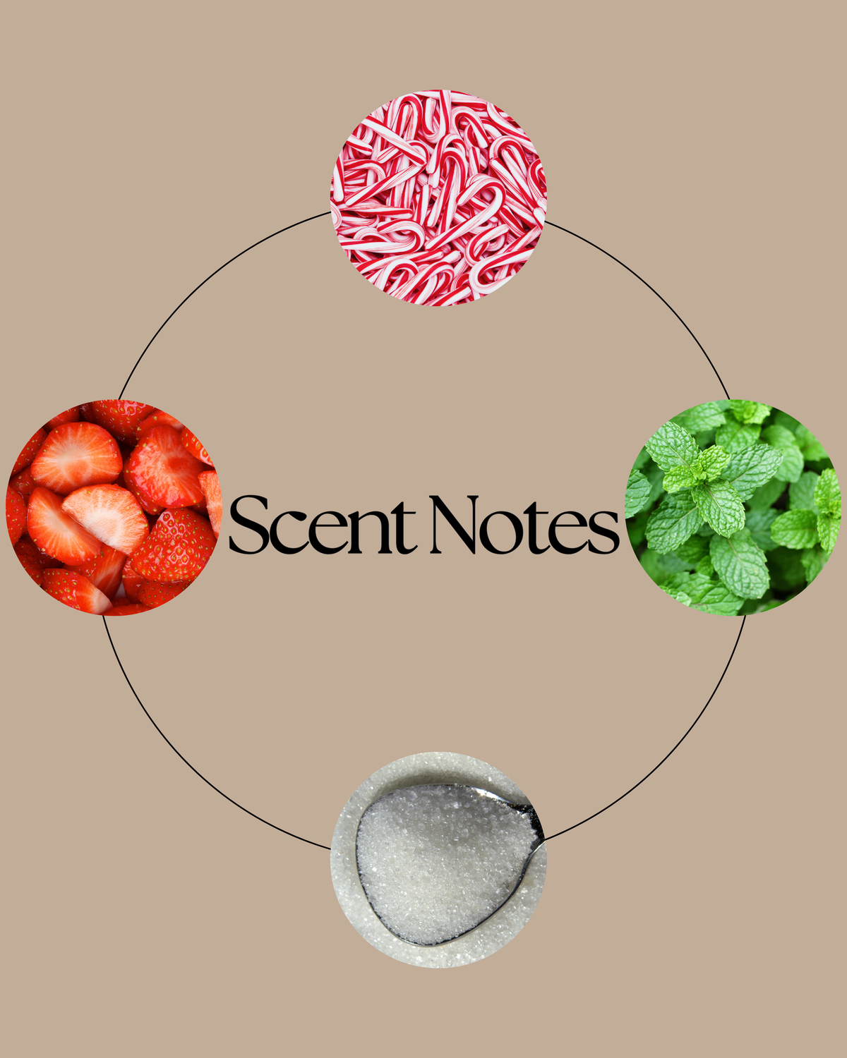 A graphic with the text 'Scent Notes' centered on a beige background, surrounded by three circular ingredient-style photos: red-and-white candy canes at the top, strawberries at the left, sugar at the bottom and mint leaves at the right.