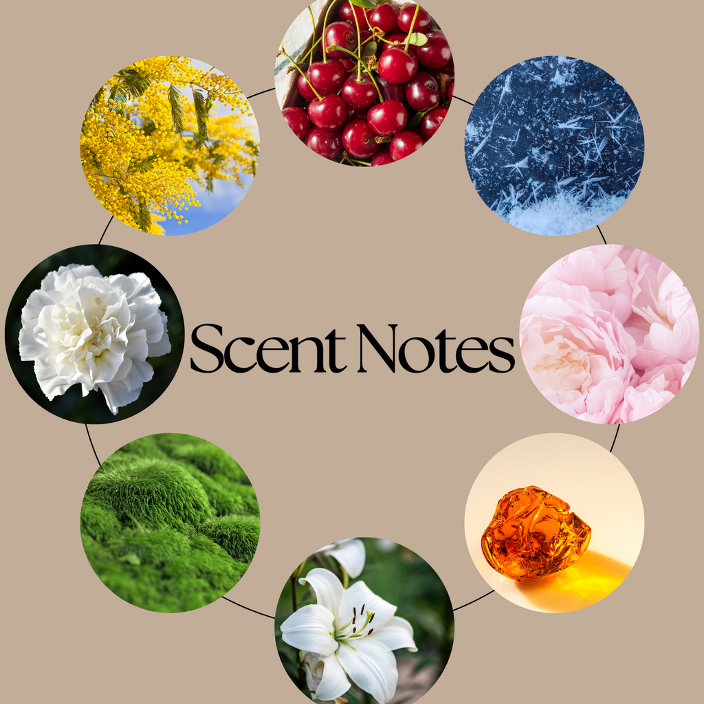 Cherries on Snow wax melt scent-notes graphic showing fresh cherry, icy ozonic notes, soft florals, vanilla, musk, amber, sandalwood, cedarwood and moss.