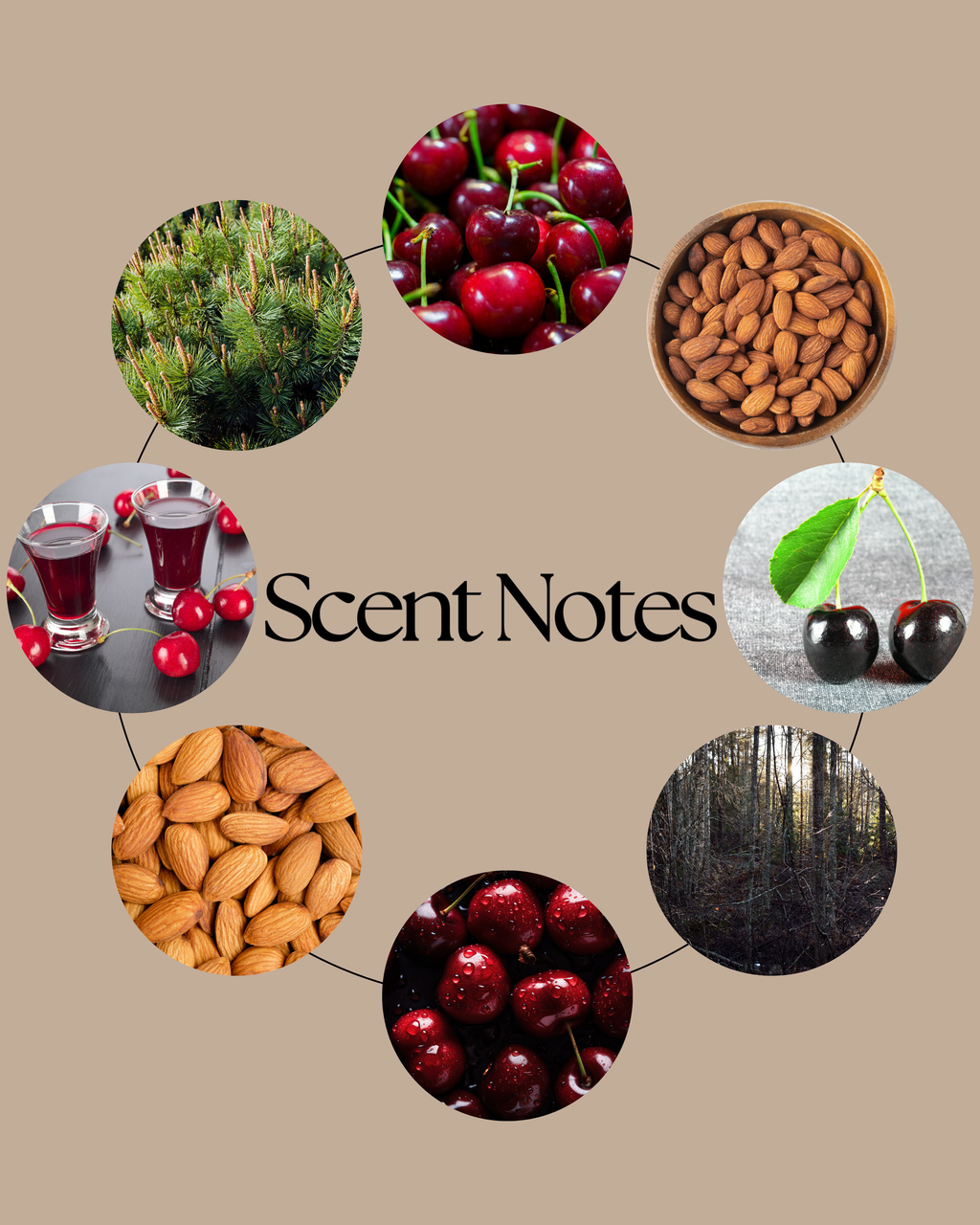 Cherry Bomb wax melt scent-notes graphic featuring black cherry, cherry liqueur, almond and soft woods on a neutral beige background.
