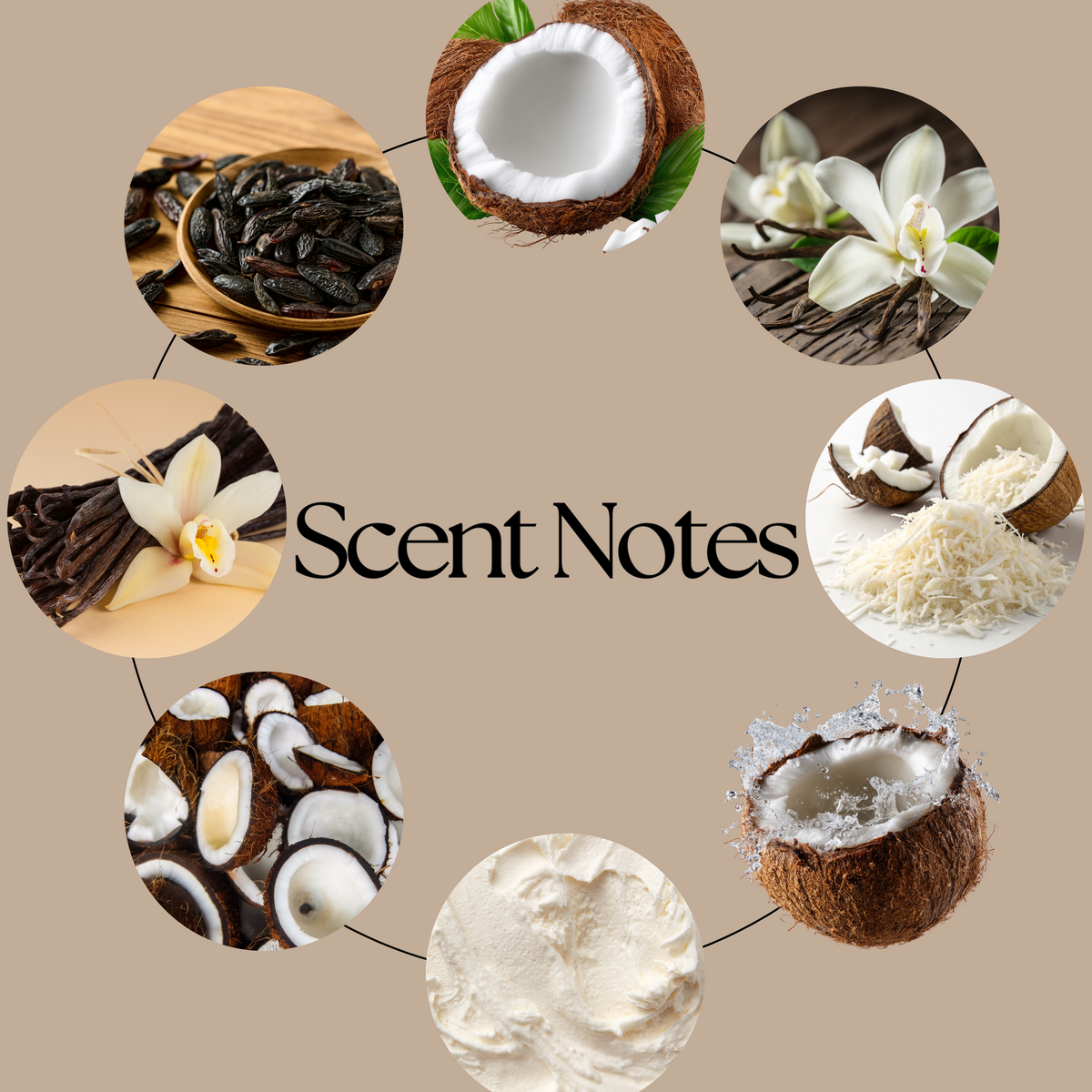 Coconuts About You wax melt scent-profile graphic featuring creamy coconut, smooth vanilla and warm tonka fragrance notes.