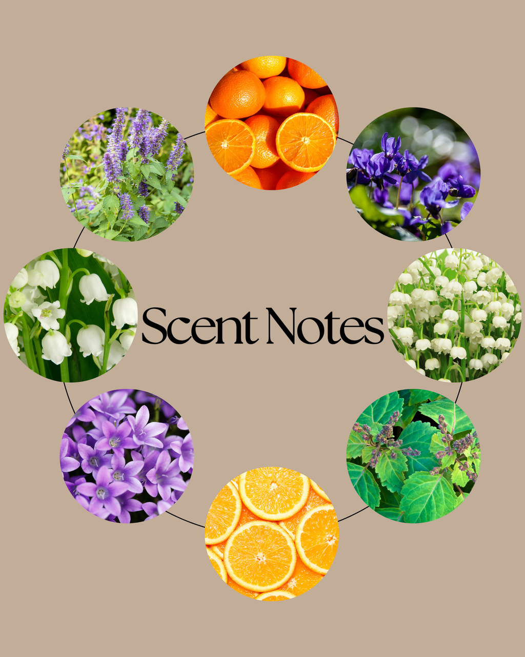 Fated Mates wax melt scent notes featuring soft orange, violet, muguet petals, creamy musk and dry patchouli leaves.