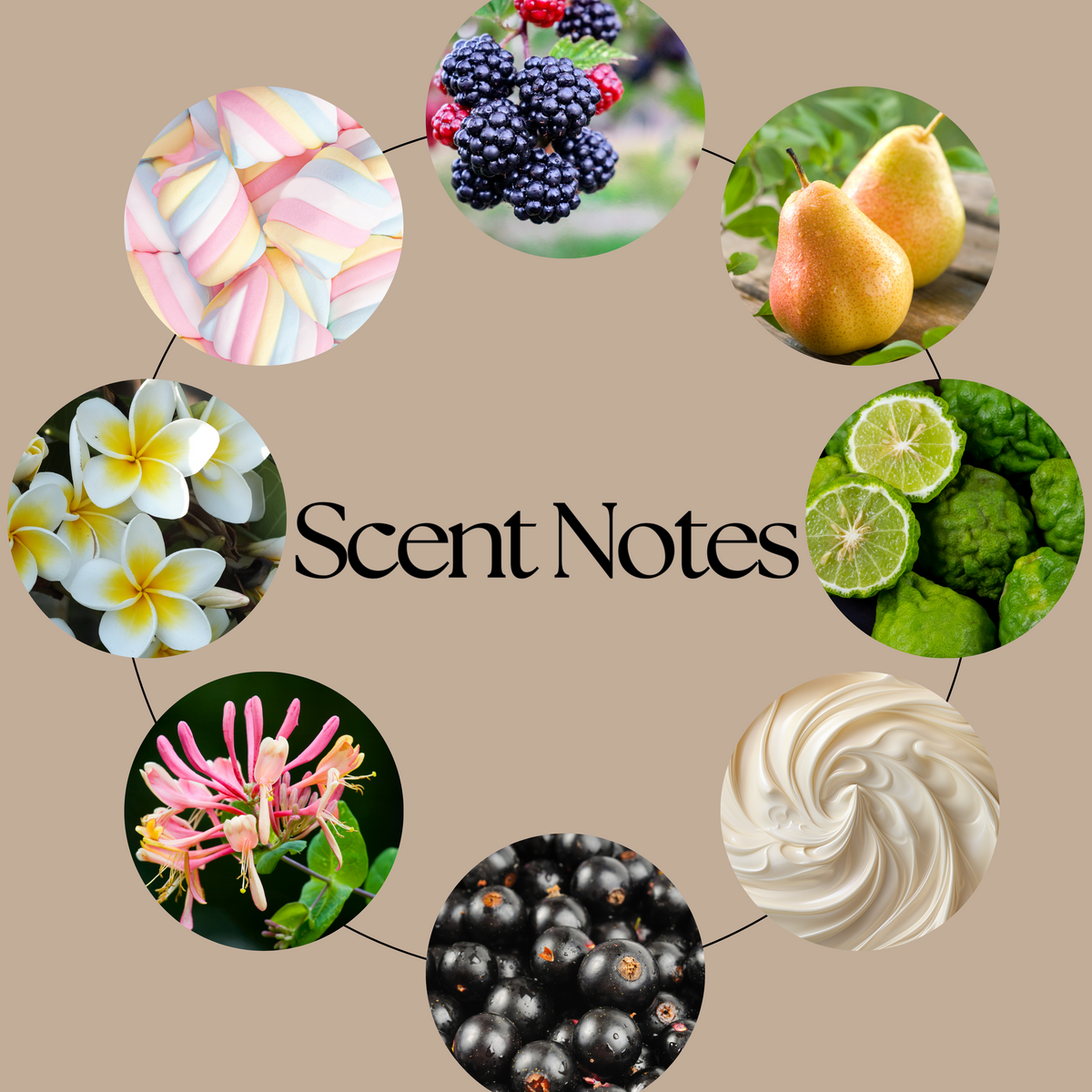 Flawless wax melt scent-notes graphic featuring marshmallows, blackberries, pear, bergamot, whipped cream, blackcurrants, honeysuckle and vanilla-inspired imagery on a neutral beige background.