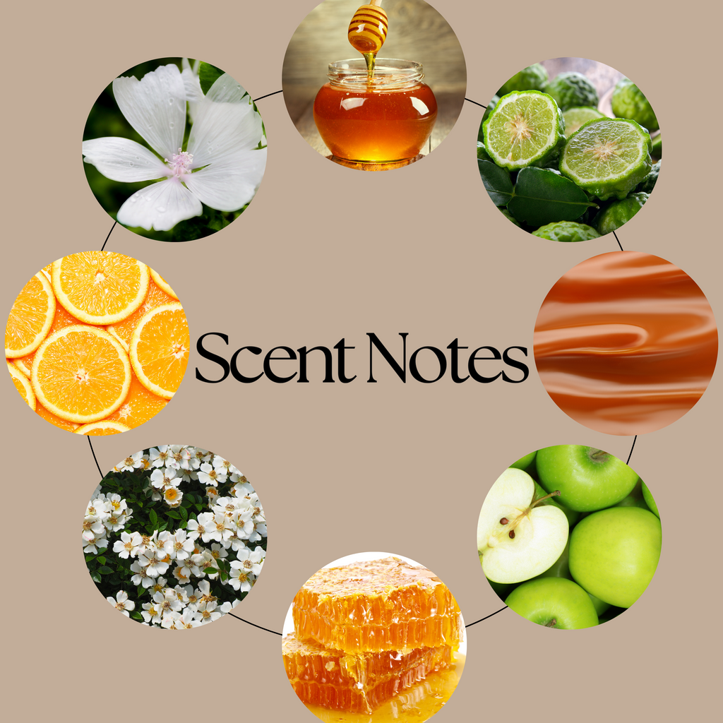 Honeybee bookish wax melt scent-notes graphic featuring golden honey, toffee, bergamot, crisp apple, sweet orange and white musk imagery on a neutral beige background.