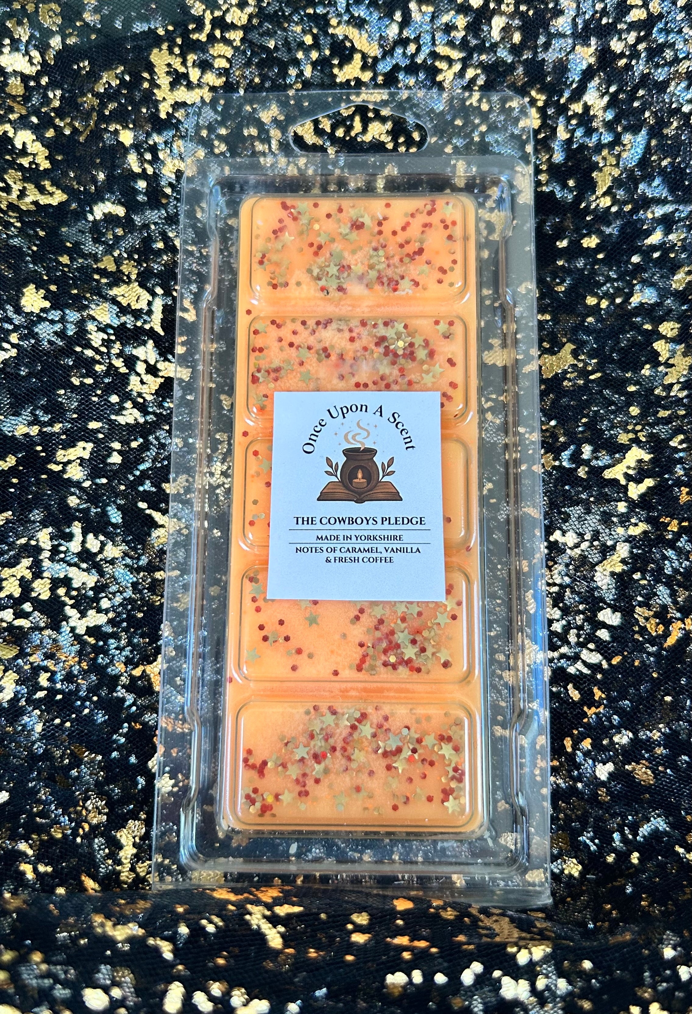 The Cowboys Pledge - Katelyn Smyth