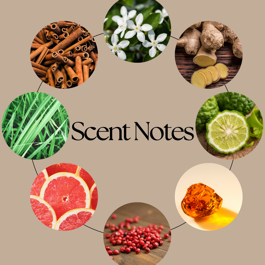 Dax wax melt scent-notes image representing its blend of red pepper, cinnamon, bergamot, musk, rich woods and warm amber.