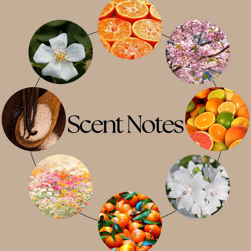 Lady Bridgerton’s Garden wax melt scent-notes graphic featuring juicy mandarin, bright citrus, spring blossoms, soft florals, clean musk and subtle warmth on a neutral beige background.