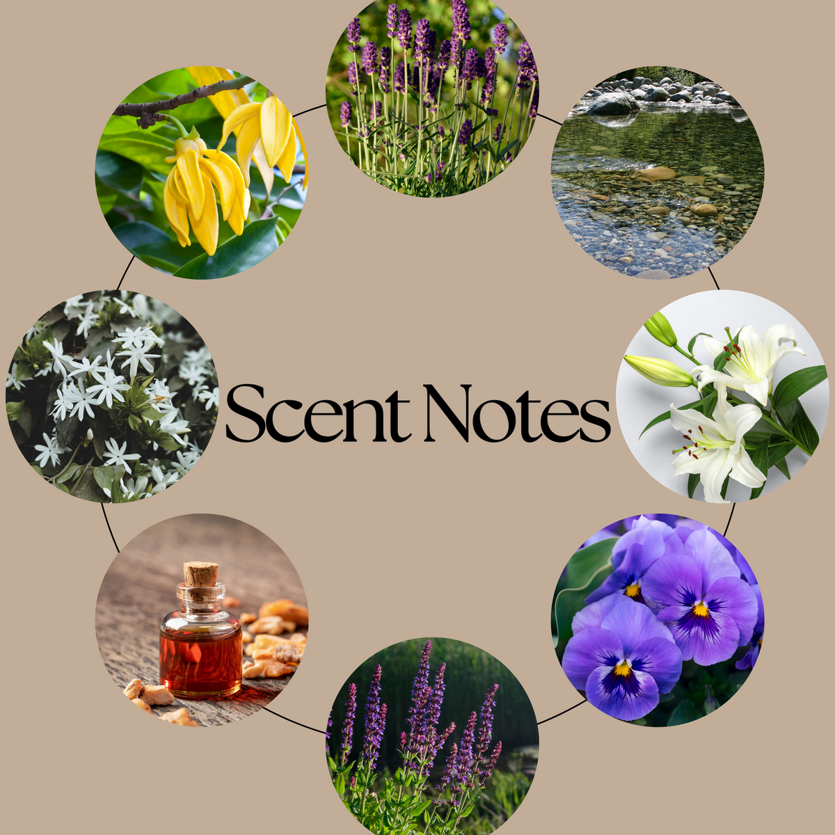 Lady of Light and Death wax melt scent-notes graphic featuring aldehydes, ylang, lavender, lily, jasmine, violet, soft musk, benzoin and tonka-inspired imagery on a neutral beige background.