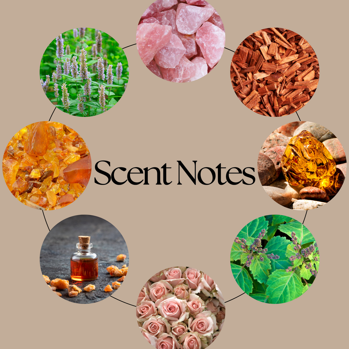 Lord of Shadow and Blood scent-notes graphic featuring amber, sandalwood, patchouli, rock rose and benzoin-inspired imagery on a neutral beige background.