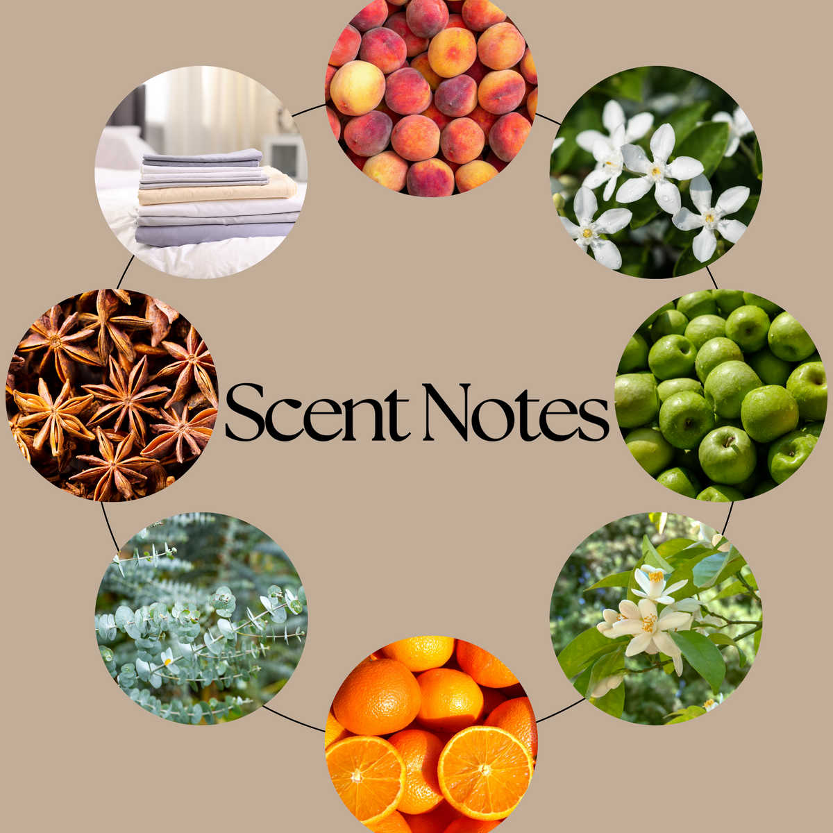Love & Luck wax melt scent-notes graphic featuring orange, peach, green apple, jasmine, rose, neroli, eucalyptus, patchouli and vanilla imagery on a neutral beige background.
