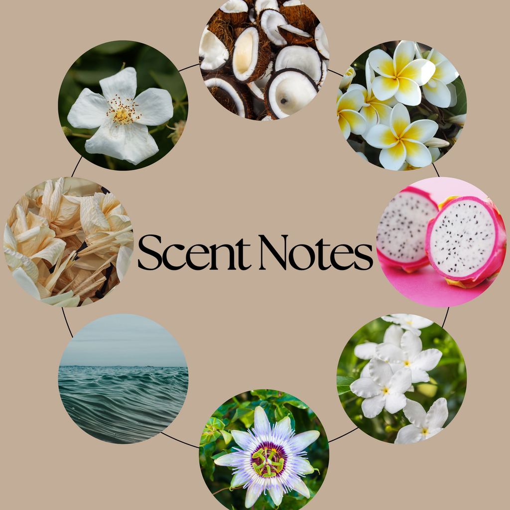 Malibu tropical wax melt scent-notes graphic featuring coconut, dragonfruit, saltwater, passion flower, frangipani, jasmine, sandalwood and musk imagery on a beige background.