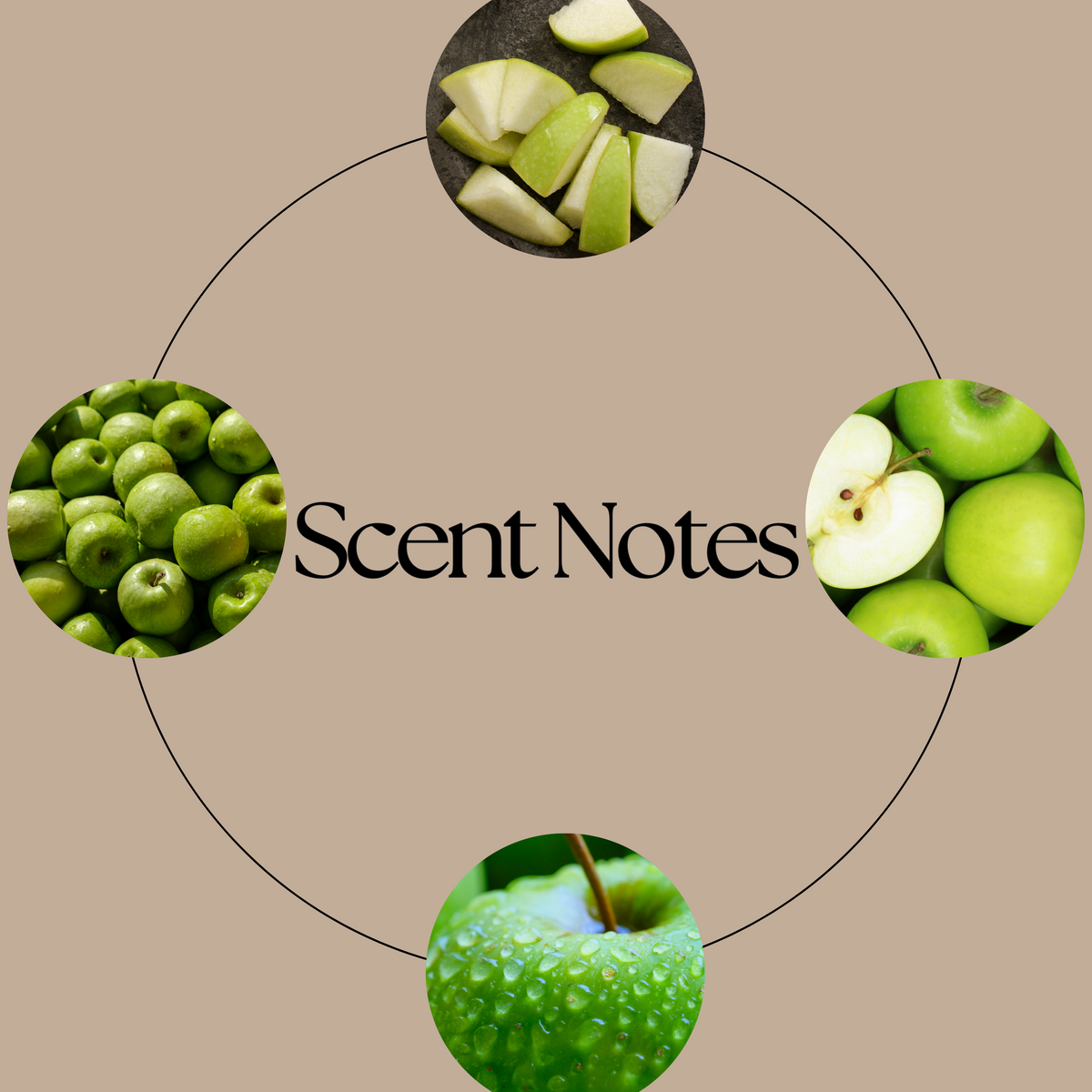 A circular graphic on a beige background with the text 'Scent Notes' in the center. Around the circle are four green apple photos: sliced apples, whole apples, a close-up of green apples, and a single glossy green apple showing the scent of the wax melt Mirror Mirror
