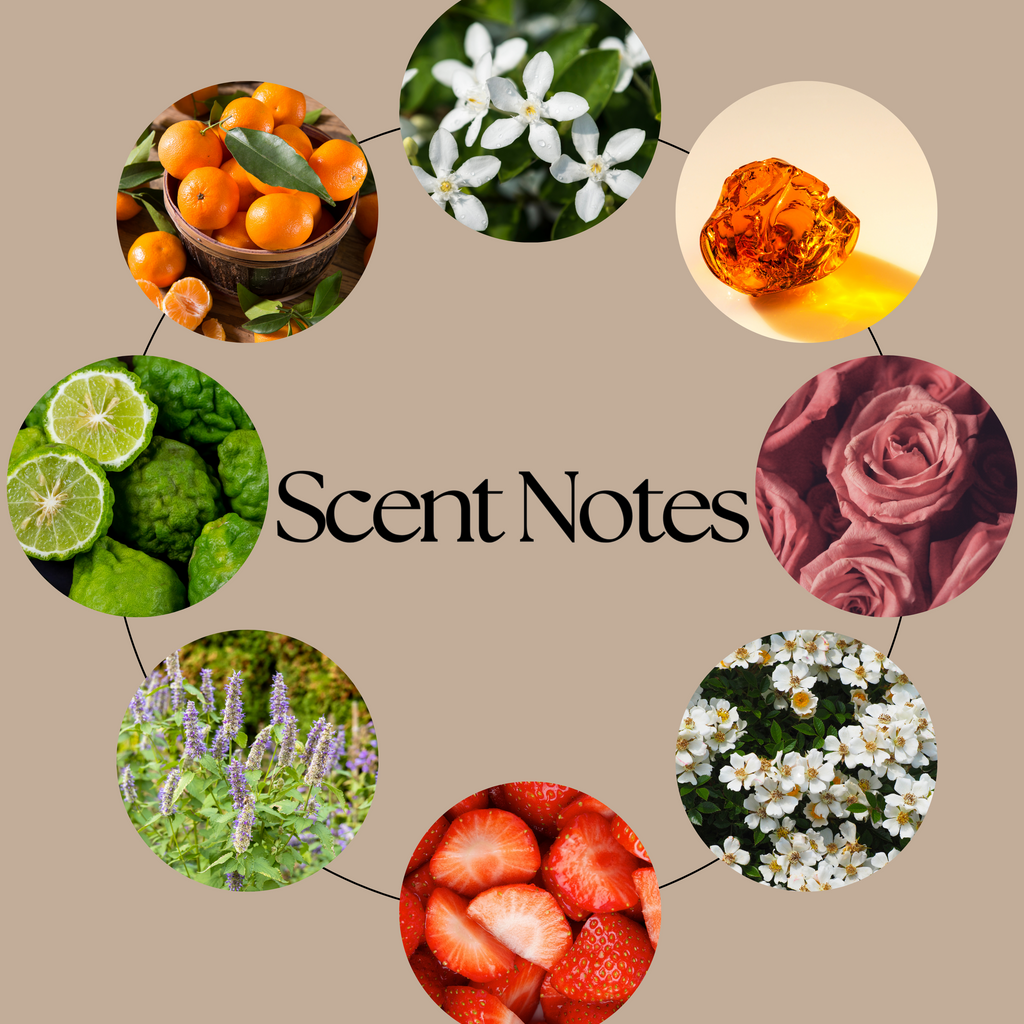 Petals of the Seer scent-notes graphic featuring bergamot, mandarin, rose, jasmine, strawberry, patchouli, amber and soft musk imagery on a beige background.