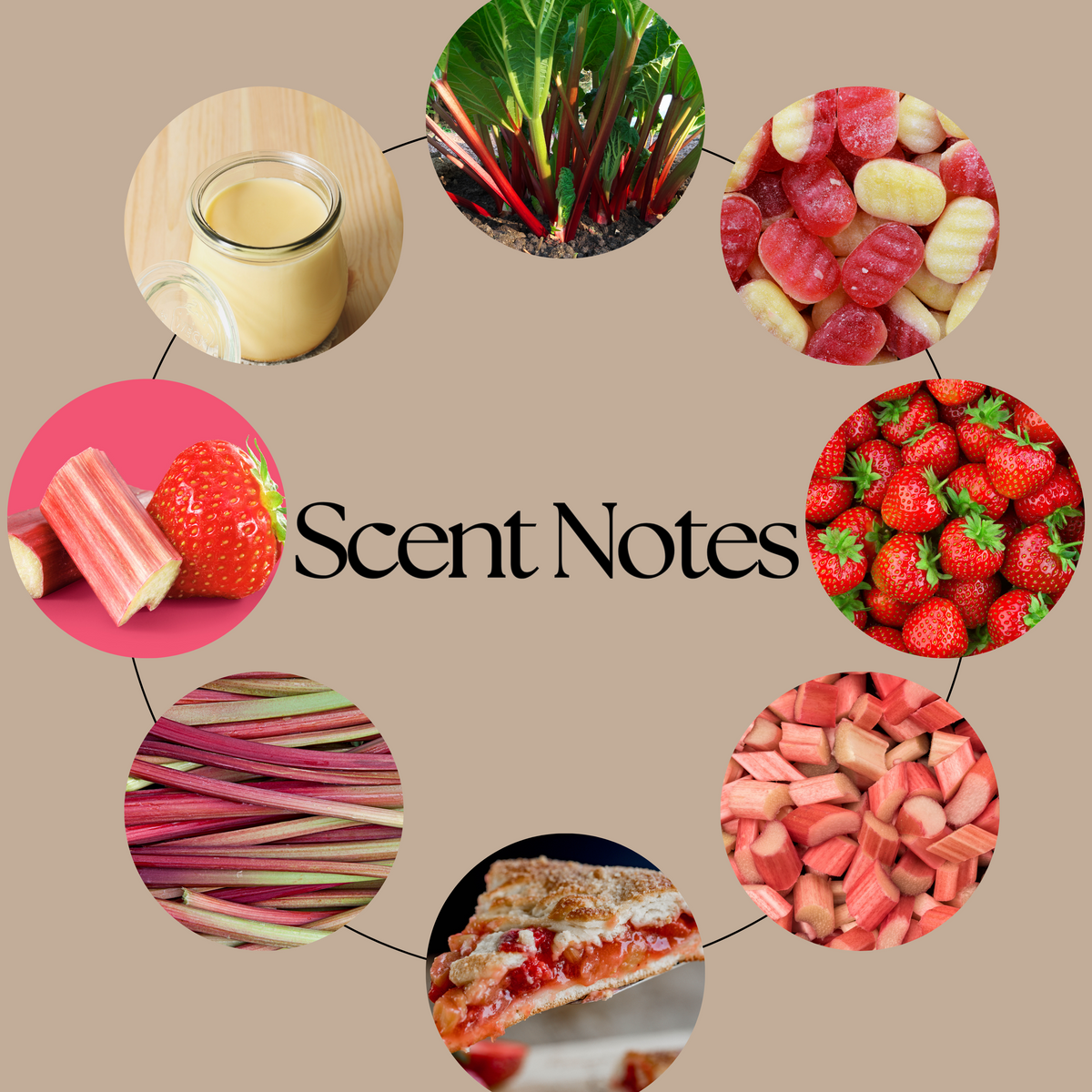 Rhubarb & Custard scent-notes graphic featuring tangy rhubarb, sweet strawberry and creamy vanilla custard imagery on a neutral beige background.