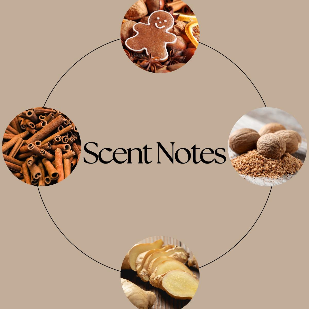 Roary Night scent notes graphic on beige, with circular photographs of a gingerbread biscuit, whole and ground nutmeg, sliced ginger and cinnamon sticks.