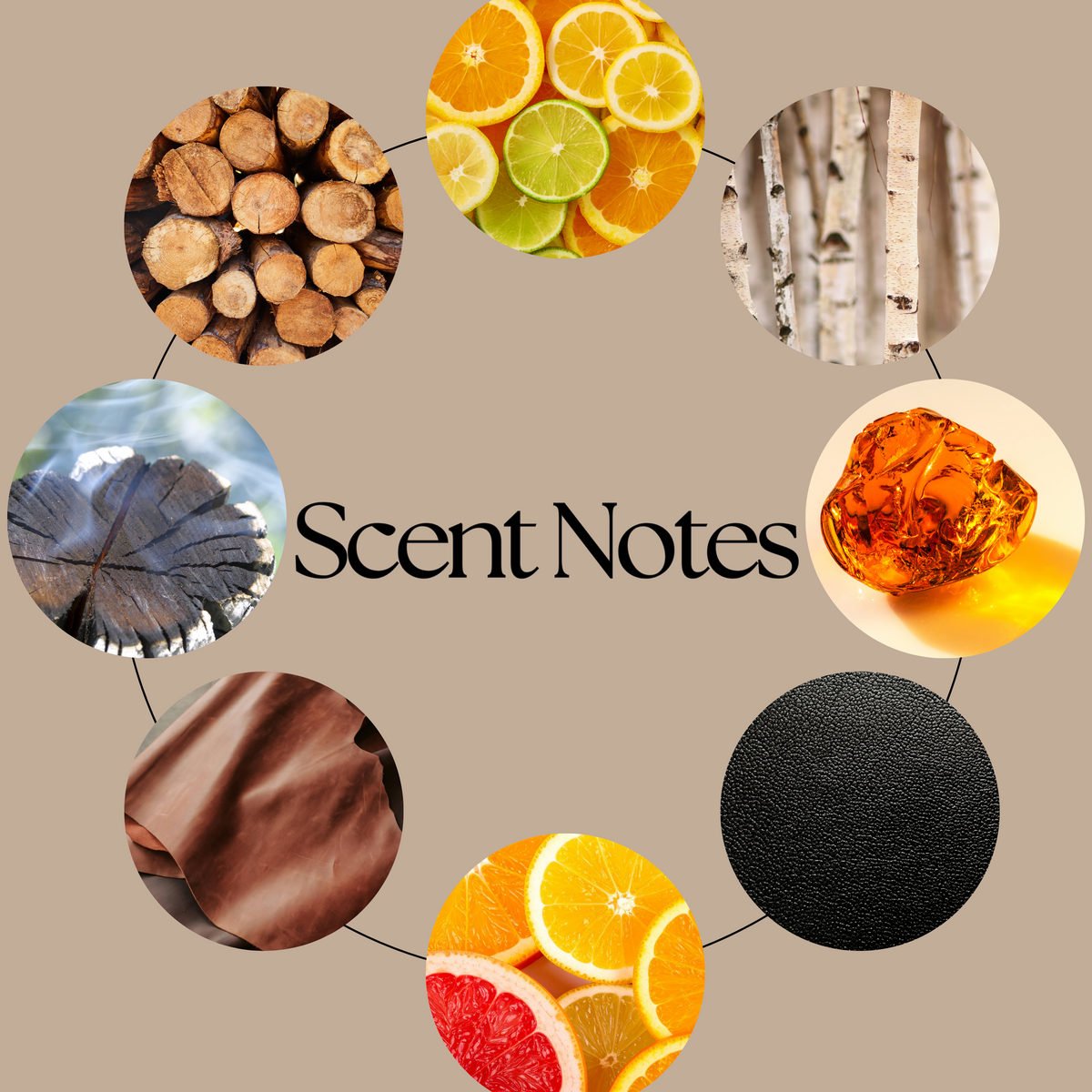 Shadow Daddy wax melt scent-notes graphic featuring citrus, smoky birch, cedarwood, black leather, warm amber and rich woods imagery on a neutral beige background.