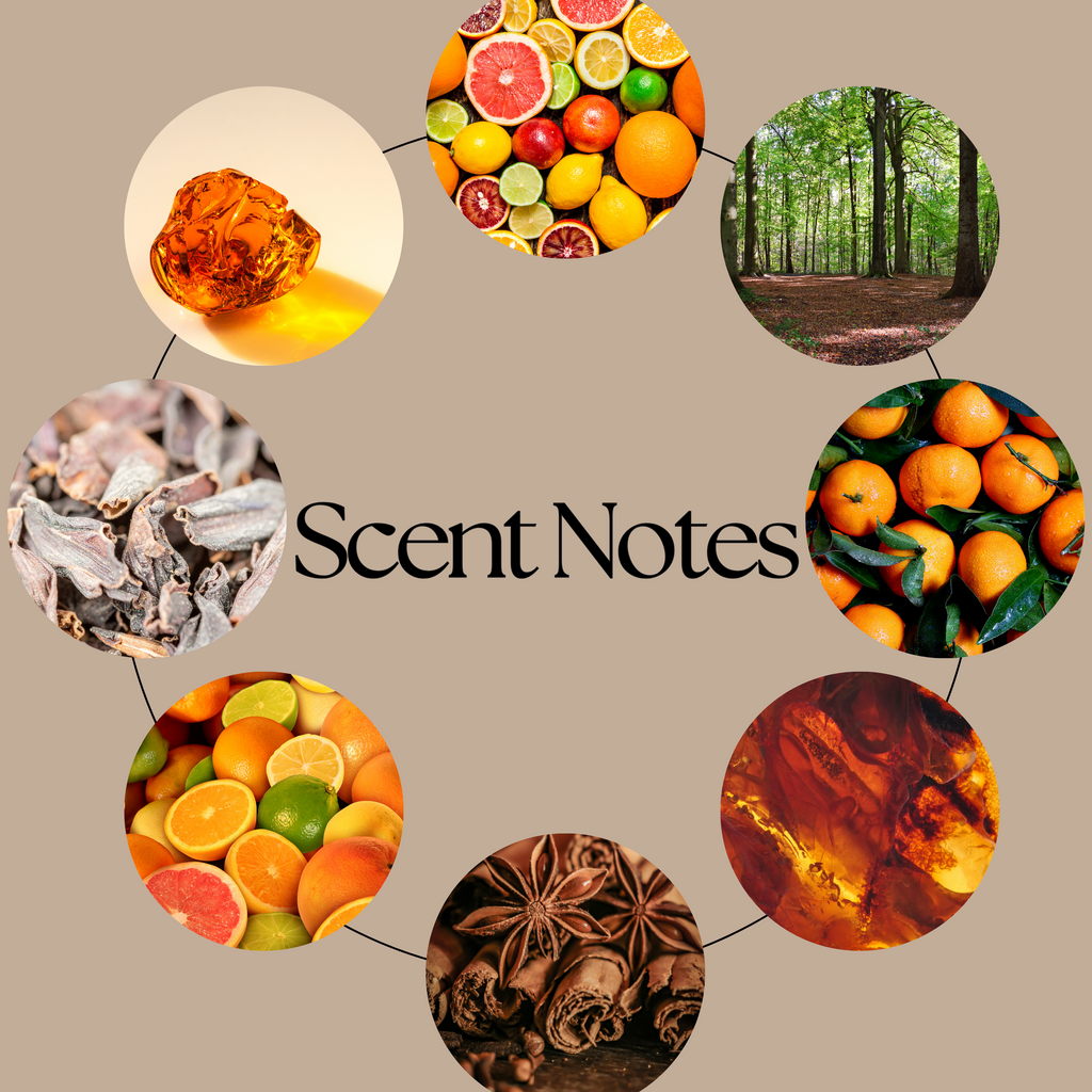 Shadowed Souls scent-notes graphic featuring bright citrus, warming spice, aromatic notes, subtle sweetness, rich amber and smooth woods on a neutral beige background.