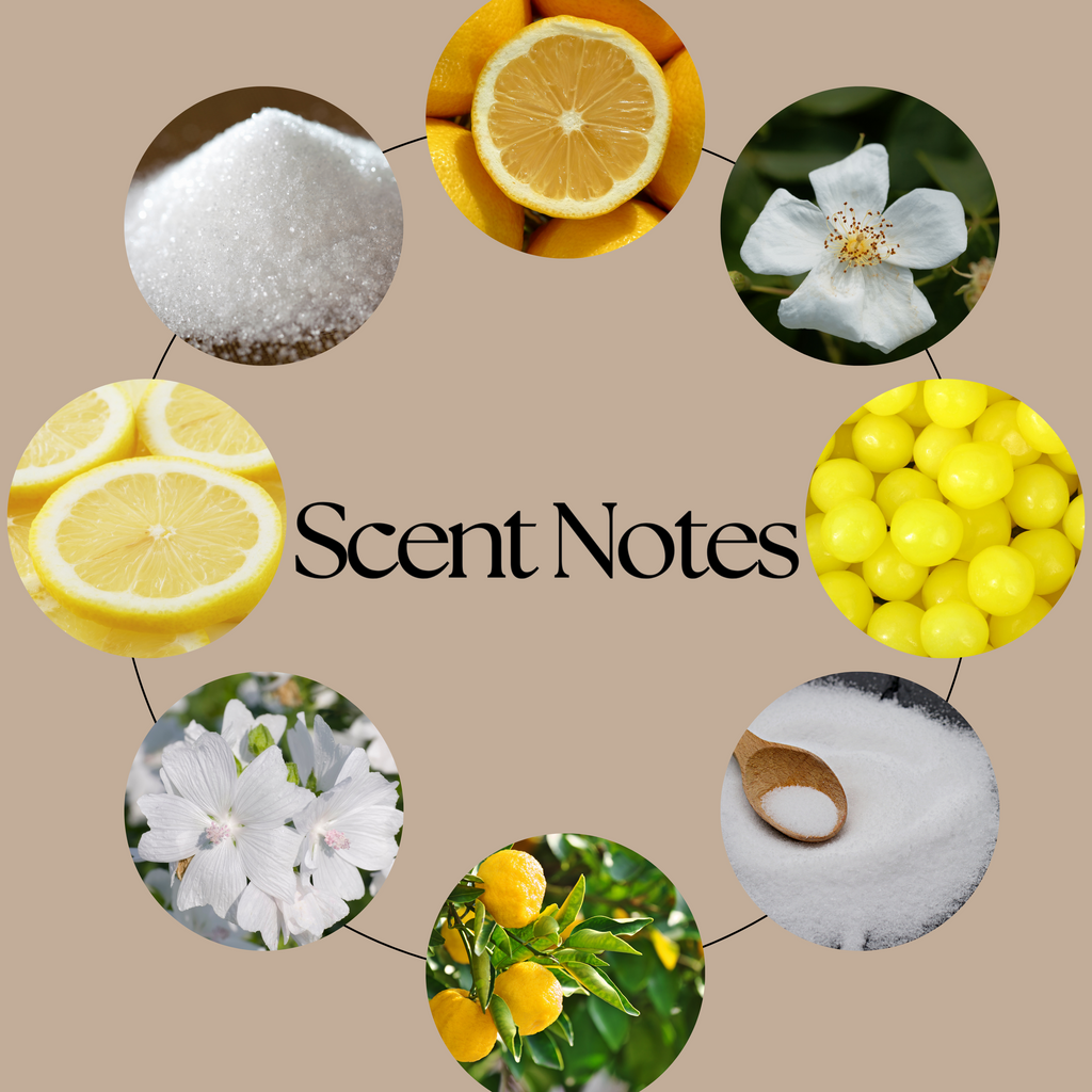 Sherbet Lemon scent-notes graphic featuring fresh lemon, zesty citrus, sweet sherbet, sugar crystals and soft musk imagery on a neutral beige background.