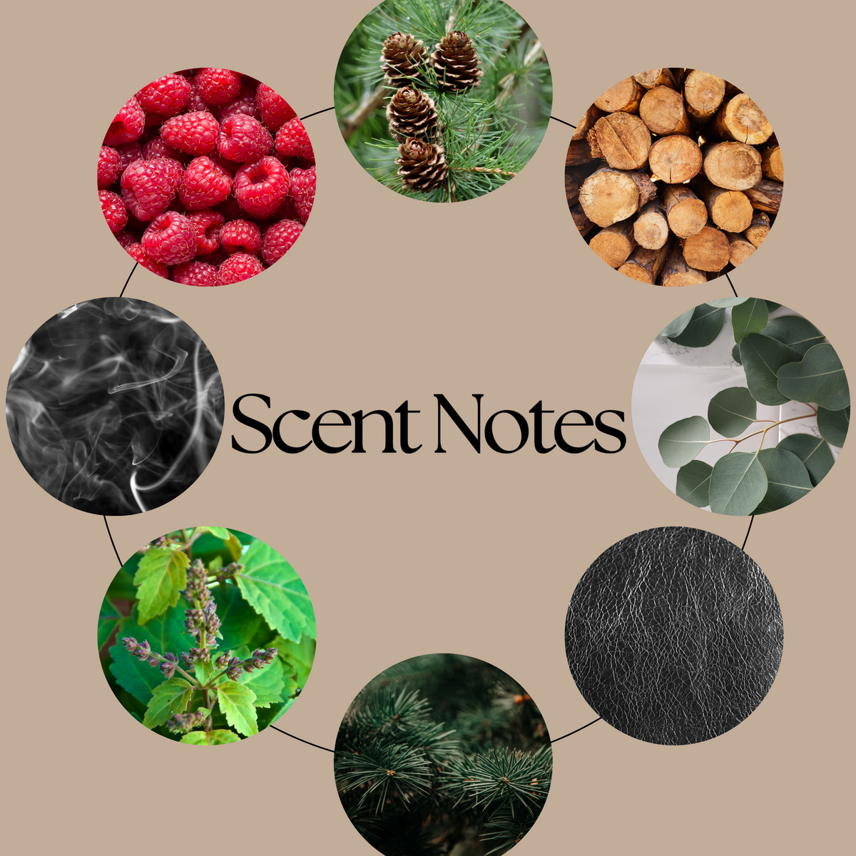 A circular graphic on a beige background with the text 'Scent Notes' in the center and eight circular photos arranged around it, showing ingredients and textures such as raspberries, pinecones, logs, eucalyptus leaves, smoke, green leaves, herbs, pine needles, and leather.