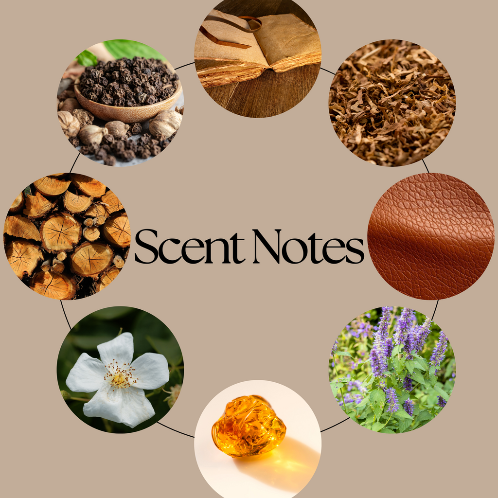 A circular infographic labeled 'Scent Notes' on a beige background, showing ingredient circles with tobacco, aged paper, wood, herbs, leather, a white flower, purple flowers, and amber, showing the book scent 
