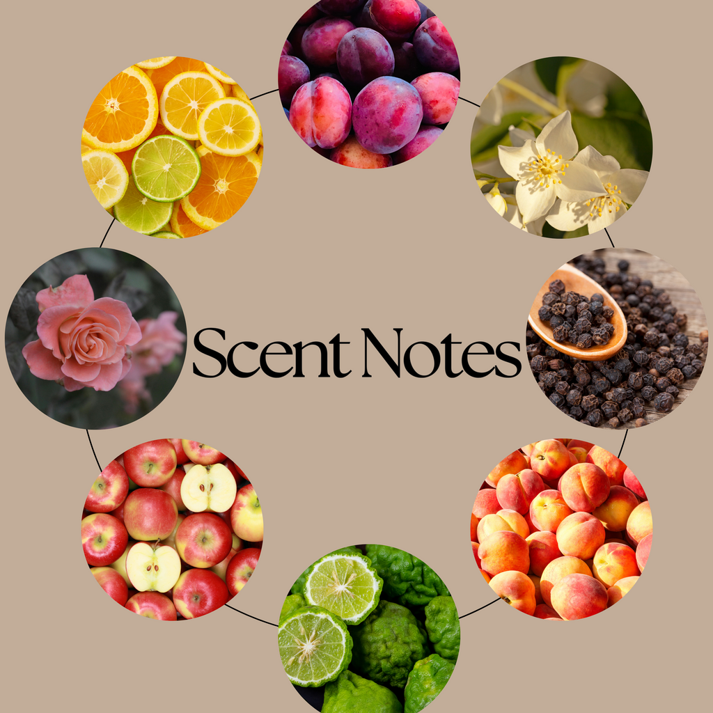 A circular graphic on a beige background labeled 'Scent Notes' with eight circular photos of ingredients and scents: citrus slices, plums, white flowers, black peppercorns, apples, limes, peaches, and a pink rose.
