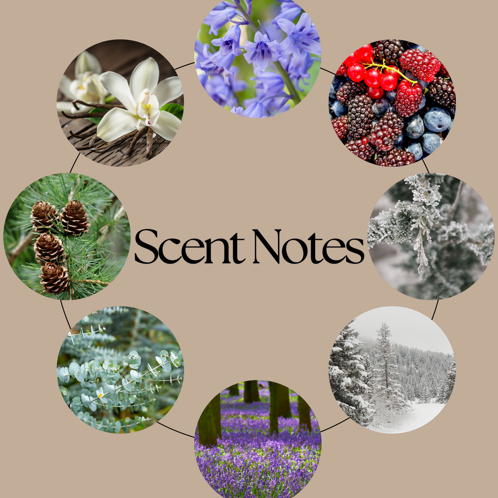 The Snowy Escape scent-notes graphic featuring crisp mountain air, bluebells, fresh pine and soft vanilla imagery on a neutral beige background.