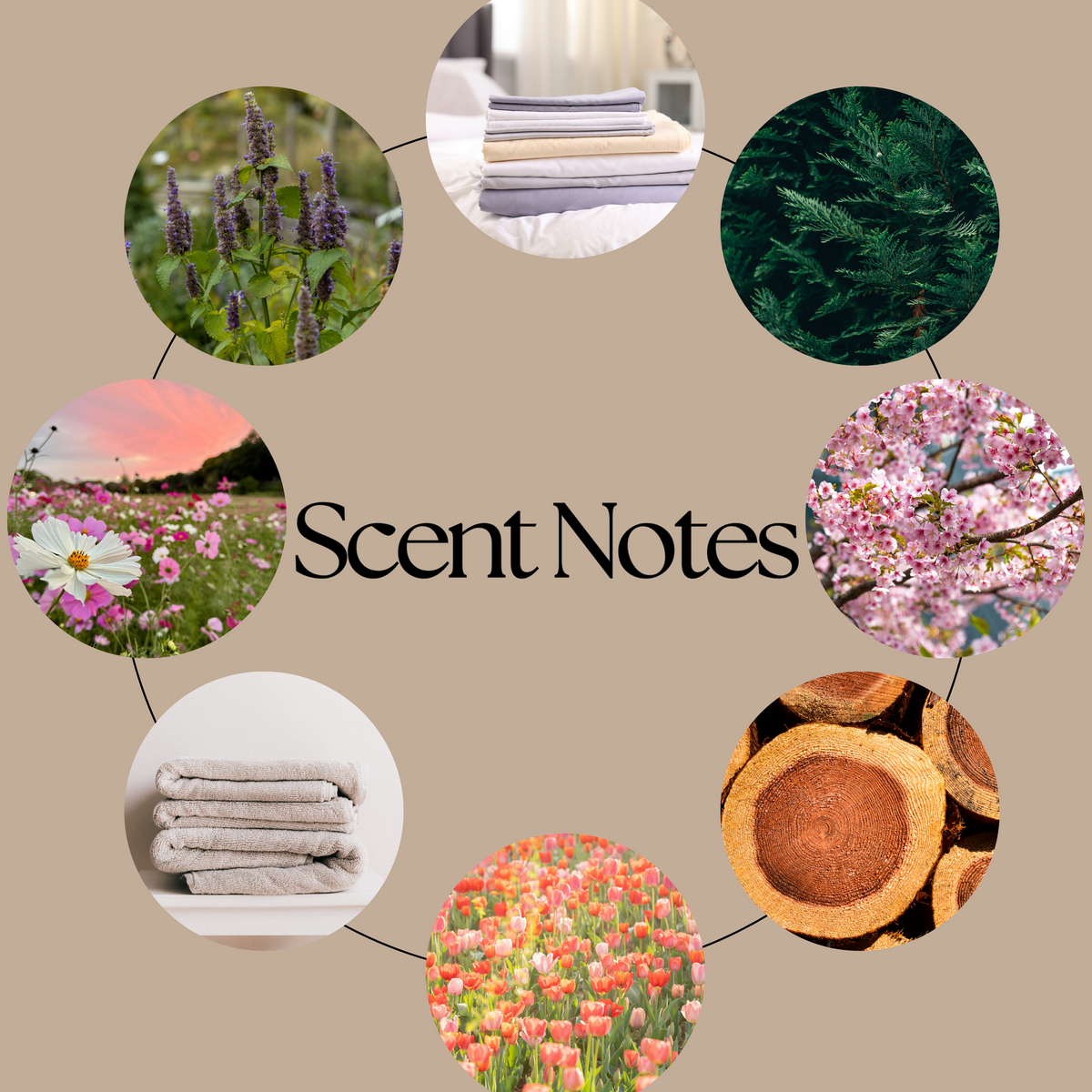 The Spring Court scent-notes graphic featuring spring flowers, fresh linen, patchouli and white cedar imagery on a neutral beige background.