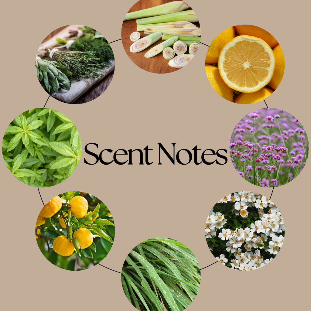 Xavier Acrux scent notes graphic on beige, with circular photographs of lemongrass, lemons, purple and white flowers, grass, lemon verbena leaves and mixed herbs.
